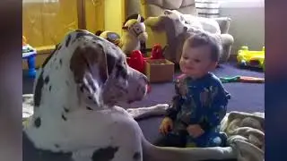 Experience the Most Hilarious Videos on the Internet!