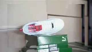 SNEAKERBAAS X VIJZBESPOKES X PUMA 