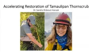 Wildlife Diversity Webinar Series | Accelerating Thornscrub Habitat for Ocelots