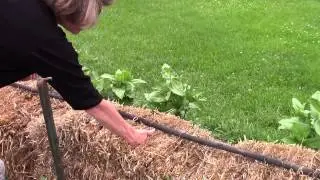 ChristineMoore