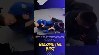 Learn Brazilian Jiu-Jitsu for Real-World Self-Defense!  | Global Brazilian Jiu-jitsu Naples FL #bjj