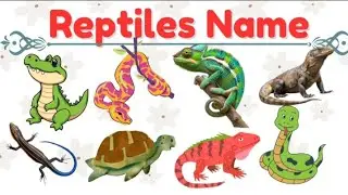 20 Reptiles Names & Facts🐊|Fun Learning About Snake, Crocodile Tortoise &more🐊🐍🐢🦎🦖