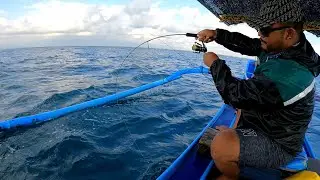 Stike tanpa henti..! dengan TUALEN Spinning Rod size terkecil