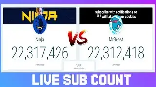 MrBeast VS Ninja: LIVE SUB COUNT