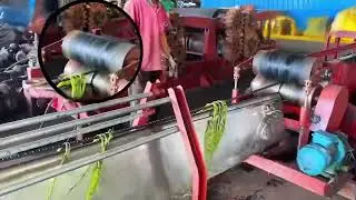 sisal, pineapple leaves fiber, banana leaf fiber, coconut fiber machine, sisal fiber decorticator
