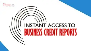 Instant Access to Business Credit Reports with Complygate