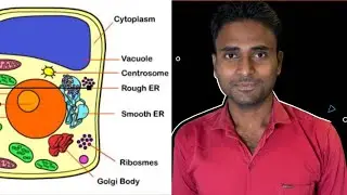 how to know about cell /cell ke bare bataye /cell kiya hai/ bacteria ke bare bataye