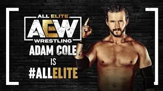 AEW FIGHT FOREVER - ROAD TO ELITE (ADAM COLE)
