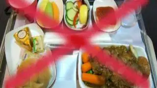 Your Healthy Flight Guide (Health Guru)