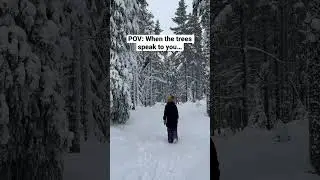 When the trees speak #treelovers #britishcolumbia #okanagan