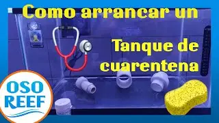 PECERA DE CUARENTENA / ¿Cuando, cómo y porque?