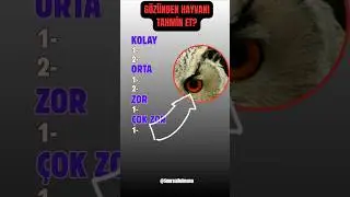 G&Ouml;ZLERİNDEN HAYVANI TAHMİN ET🤔 Hayvan Quiz Zor Sorular #bulmaca #hayvanlar #bilmece