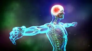 Toxin Cleansing Music Therapy - Whole body healing frequency - cell regeneration