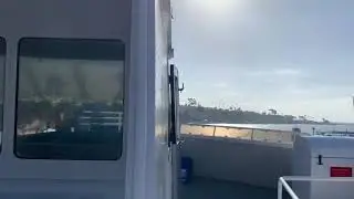 YOUNG SHAH - VACATION (OFFICIAL VIDEO)