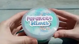 Belana the blueberry cow (Parakeet slimes ASMR)