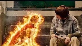 Superpower Wala Fire Dog! Ladke Ne Jo Dekha Usne Pure Shehar Ko Hairaan Kar Diya 🔥🐶 #rocket #horrors