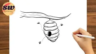 How to Draw Bee Hive