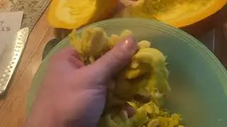 Time to harvest Boston Marrow for food and seed