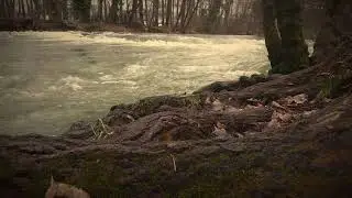 Music Art Inside - Благодаря