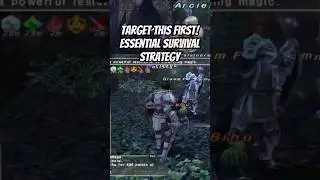Target This First! Essential Survival Strategy in Final Fantasy XI Online