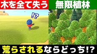 【どうぶつの森】木を全て失う荒らしか木を大量に植えられる荒らしならどちらが良いか検証してみた【うさごん】