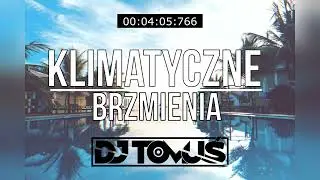 ⛔😍💣 KLIMATYCZNE BRZMIENIA 💣😍⛔ VOL.1 ✈✅[ Najlepsza VIXA Do Auta 🚗 ]#HITY / #REMIXY @DJ TomUś Official