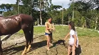 ULTIMO BANHO DO ANO NO MEU CAVALO
