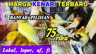 Update..Harga kenari terbaru di kios fajar jaya / kota malang/17 Januari 2026