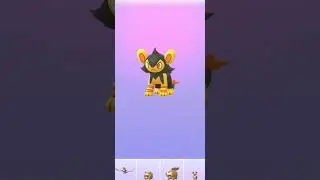 ✨Shiny Shinx Pokemon evolution 🧬 Shiny luxio and Shiny Luxray Pokemon Go #shorts #pokemon #gaming