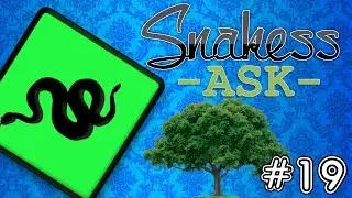 Snakess Ask | #19 | Strom