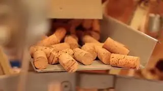 Video Coverlink
