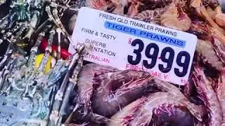 Brisbane seafood run at the shop