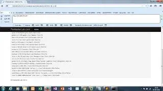 Web For Pentester Commands injection Example 1 Solution