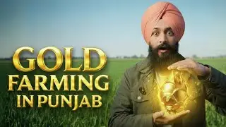 Gold farming in Punjab | Punjab farmer is now growing gold | Dragon Fruit Revolution
