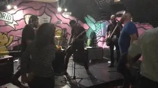 POLI PUNK