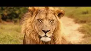 Port Elizabeth, Nelson Mandela Bay - an African Wildlife Adventure Hot Spot