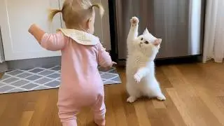 Cat Babysitting Babies (What Could Go Wrong?) 😭🤣 | Viral Fun 😹🐱👶