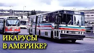 Вся правда об американских Икарусах. Были такими же, как в СССР?