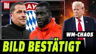 BILD BEST&Auml;TIGT: RIGOROSE UPAMECANO-ENTSCHEIDUNG | KICK FUSSBALL NEWS
