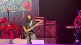 “Hey Joe” Los Lobos and Los Lonely Boys Live @ The Rady Shell 8/4/24 San Diego