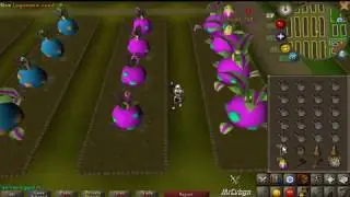 (2018) Tithe Farm rotation (un-edited) - 110k Farming exp / 76 points per hour