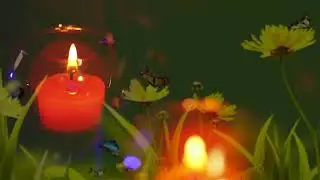 Flowers and candles calm nerves with a quiet piano #candles #relaxingmusic #sleepsounds