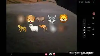 Ten in the bed lazz wild animals