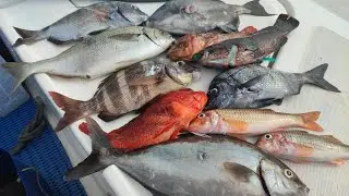 8 especies en el Cantabrico