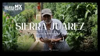 La Gran Necesidad en la Sierra Juárez Oaxaca - SHORT FILM