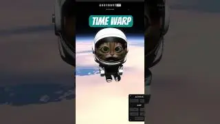 Котенок перемещается во времени сквозь атмосферу Земли!