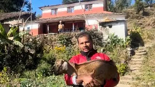 बाबाको ईच्छा बमोजिक २ वटा बोका त ल्याईयो ? कसरी मुल्य तोकियो ? कति के जी छन ? सबै हेर्नुहोस 