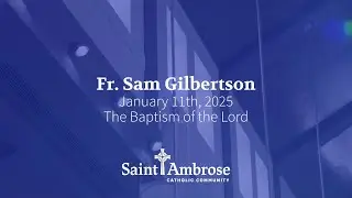 The Baptism of the Lord - Fr. Sam