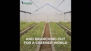 Embrace Nature's Beauty: Van Mahotsav Week