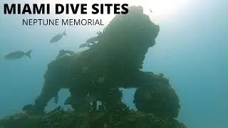 Miami Diving: SCUBA Diving Neptune Memorial Reef, Fish ID, and a tour